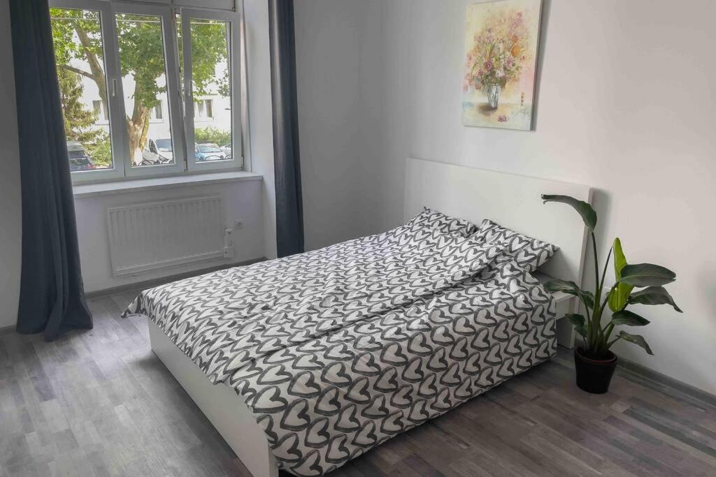 Cosy Studio Near Central Station Apartment *